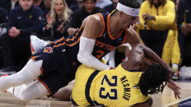 它们不仅提 它们不仅提